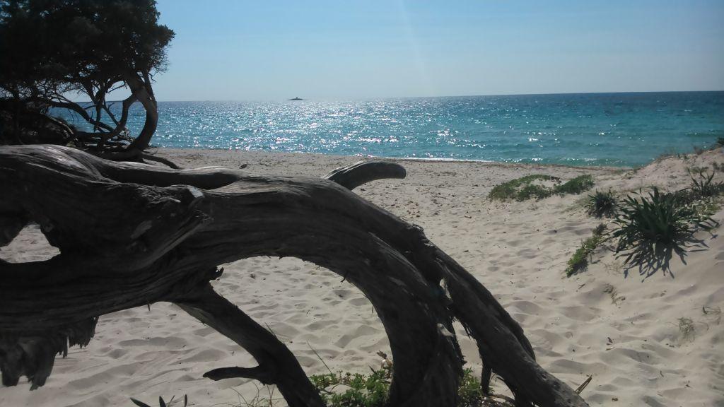 B&B Istentales Alghero Exterior foto
